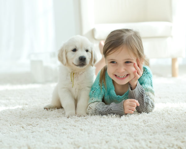 Girl with puppy on plush white carpeting