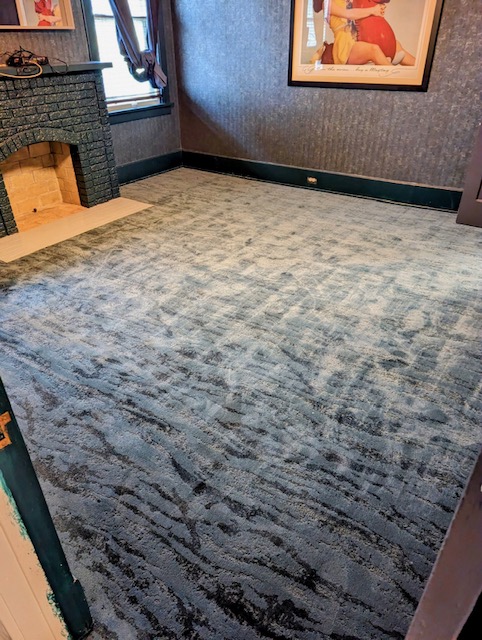 Beautiful new bold & moody carpet!