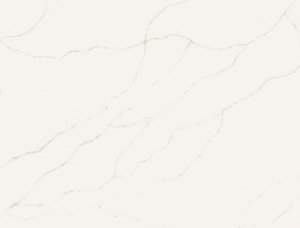 Dwyer Envi Quartz-Carrara Fina