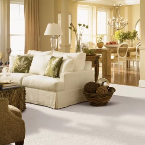 Living Room Carpet Flooring | DeGraaf Interiors