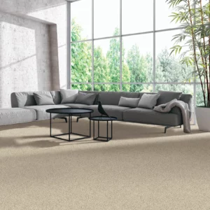 Luxury Living Room Carpet Flooring | DeGraaf Interiors