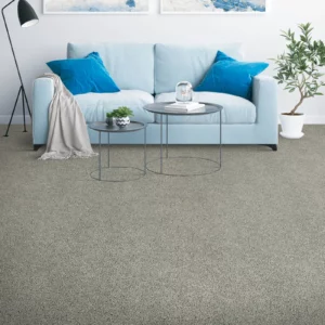 Carpet Flooring | DeGraaf Interiors