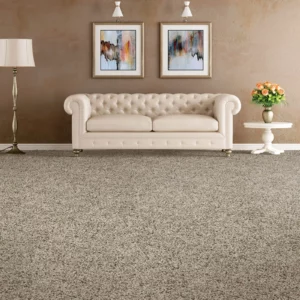 Living Room Carpet Flooring | DeGraaf Interiors