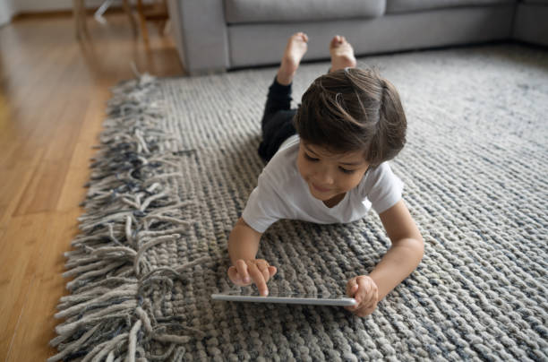 New Area Rug | DeGraaf Interiors