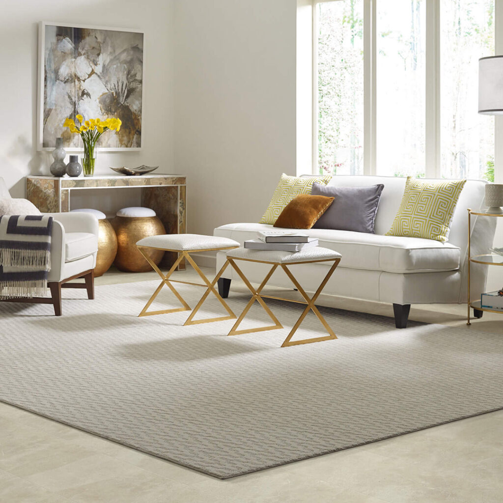 Area Rug | DeGraaf Interiors