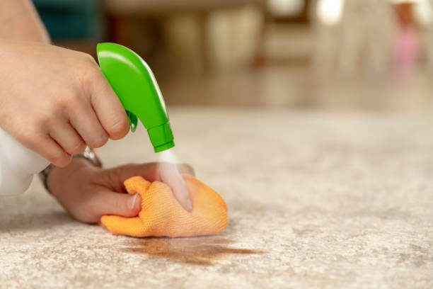 Tough Carpet Stains Care | DeGraaf Interiors