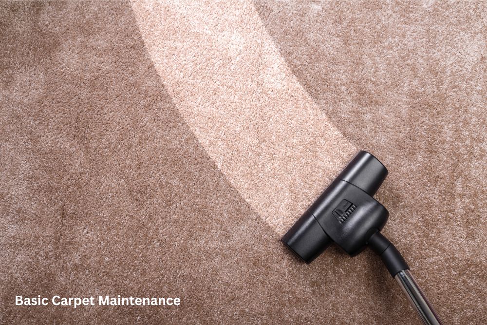 Carpet Cleaning | DeGraaf Interiors