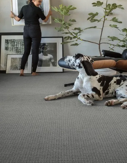Carpet Flooring | DeGraaf Interiors