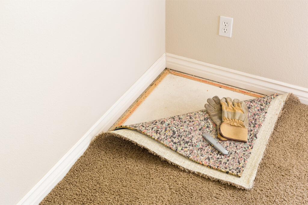 Common Carpet Problems and a Troubleshooting Guide by Degraaf Interiors