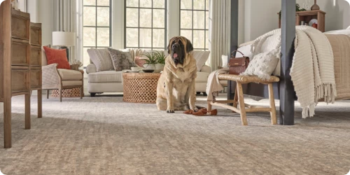 11442_50151_karastan_campaign_image_15_$fullQuality$ 11442_50151_karastan_campaign_image_15_$fullQuality$